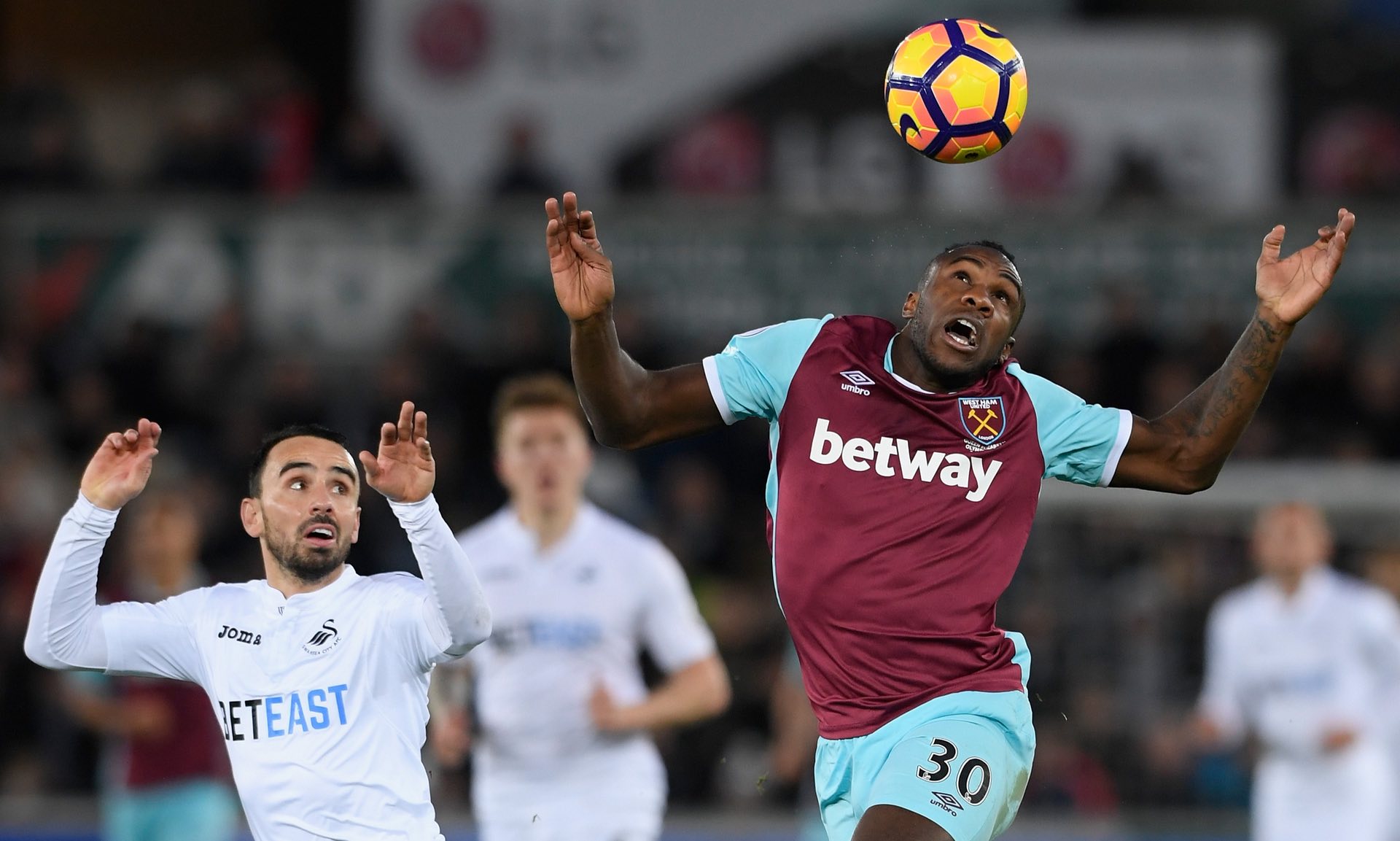 我们不仅看 我们不仅看